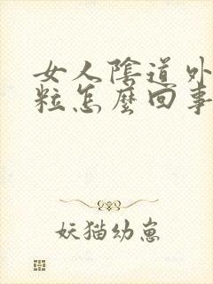 女人阴道外起颗粒怎么回事