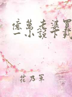 亿万老婆买一送一小说下载txt