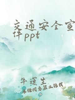 交通安全宣讲课件ppt