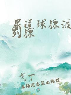 尿道球腺液和前列腺