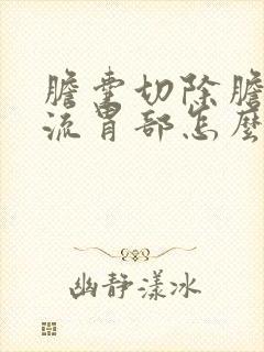 胆囊切除胆汁反流胃部怎么办