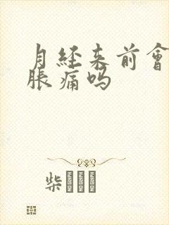 月经来前会乳房胀痛吗