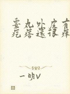 睾丸外皮有红色疙瘩还很痒