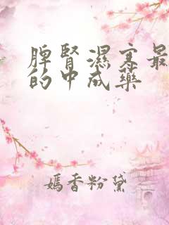 脾肾湿寒最见效的中成药