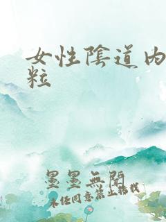 女性阴道内壁颗粒