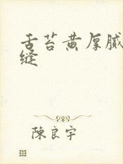 舌苔黄厚腻有裂缝