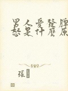 男人爱发脾气易怒是什么原因