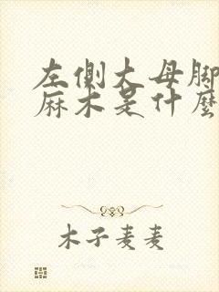 左侧大母脚趾头麻木是什么原因