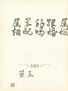 属羊的跟属蛇的相配吗婚姻