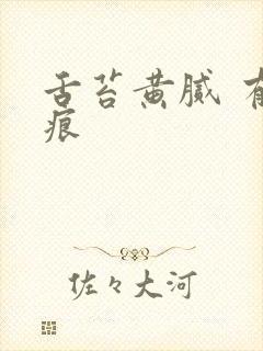 舌苔黄腻 有齿痕