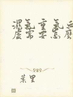 湿气重 气血两虚需要怎么调理