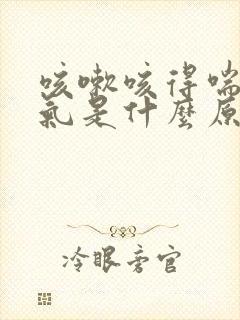 咳嗽咳得喘不上气是什么原因