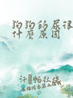 狗狗的尿很黄是什么原因