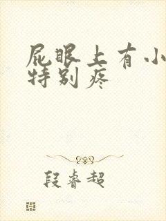 屁眼上有小肉球特别疼