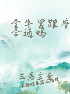 金牛男跟摩羯女合适吗