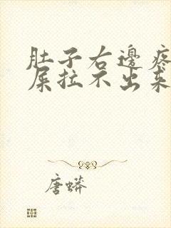 肚子右边疼想拉屎拉不出来怎么回事