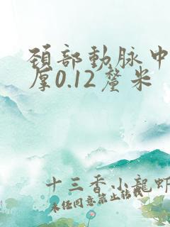 颈部动脉中膜增厚0.12厘米