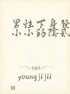 男性下身发痒长小小的阴虱怎么办