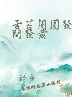 舌苔周围发白中间发黄