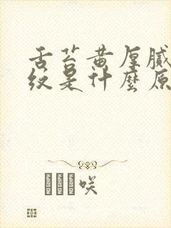 舌苔黄厚腻有裂纹是什么原因造成的