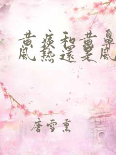 黄痰和黄鼻涕是风热还是风寒