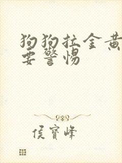 狗狗拉金黄软便要警惕