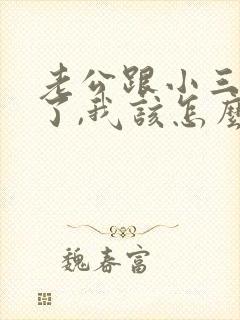 老公跟小三同居了,我该怎么做