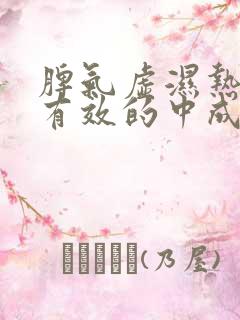 脾气虚湿热重最有效的中成药