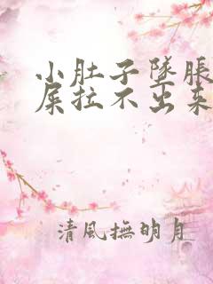 小肚子坠胀想拉屎拉不出来怎么回事