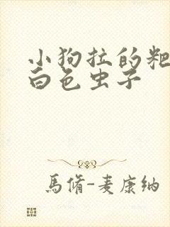 小狗拉的粑粑有白色虫子