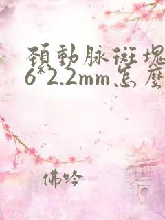 颈动脉斑块3.6*2.2mm怎么治