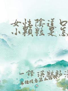 女性阴道口边有小颗粒是怎回事