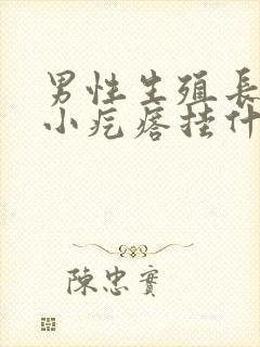 男性生殖长一个小疙瘩挂什么科