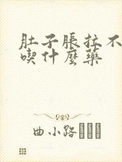 肚子胀拉不出屎吃什么药