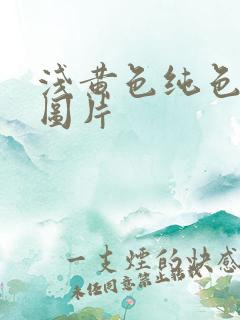 浅黄色纯色背景图片