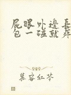 屁眼外边长了个包一碰就疼