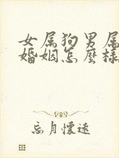 女属狗男属羊的婚姻怎么样