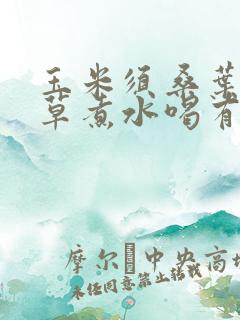 玉米须桑叶车前草煮水喝有什么功效