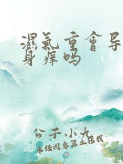 湿气重会导致下身痒吗