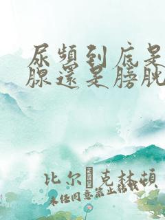 尿频到底是前列腺还是膀胱