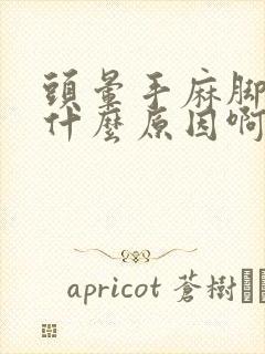 头晕手麻脚麻是什么原因啊