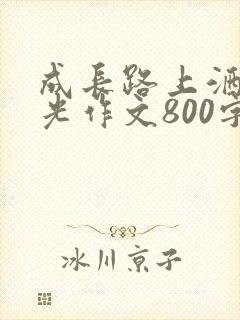 成长路上洒满阳光作文800字初中