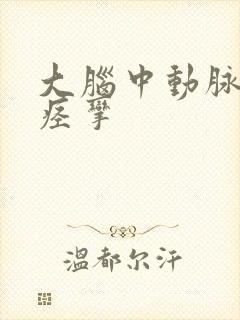 大脑中动脉轻度痉挛