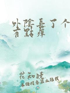 外阴长了个大痘有点痒