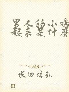 男人的小鸡硬不起来是什么原因