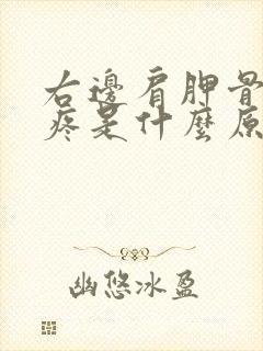 右边肩胛骨后背疼是什么原因引起的