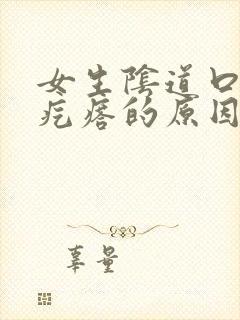 女生阴道口有小疙瘩的原因