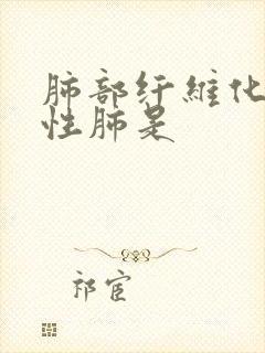 肺部纤维化间质性肺是