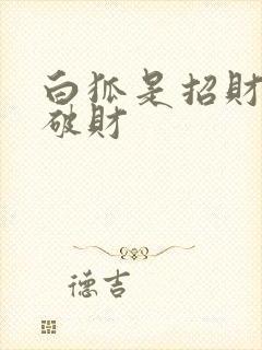 白狐是招财还是破财