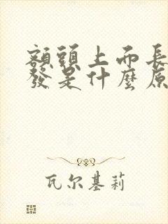 额头上面长白头发是什么原因